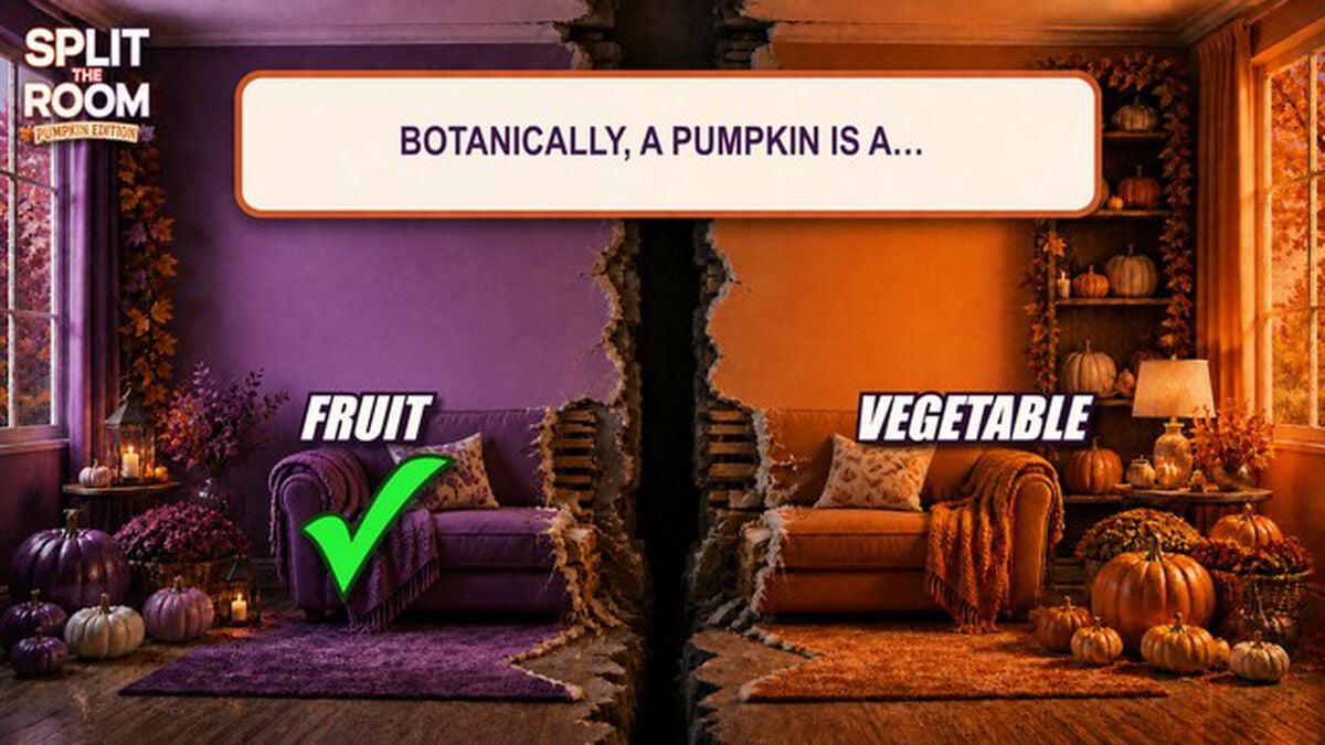 Split the Room - Pumpkin Edition image number null
